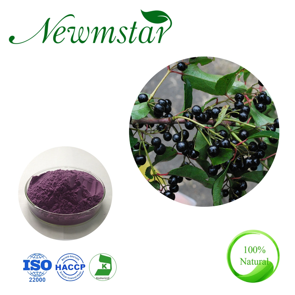 ISO Factory Plant Extract Euterpe Oleracea Euterpe Badiocarpa Acai Berry Extract 5: 1