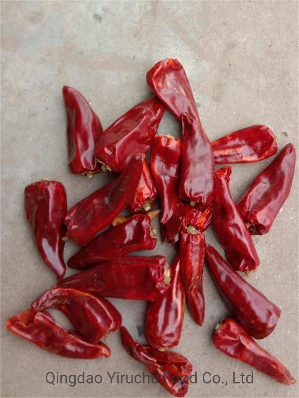 Pimiento rojo chino que puede aliviar la indigestión