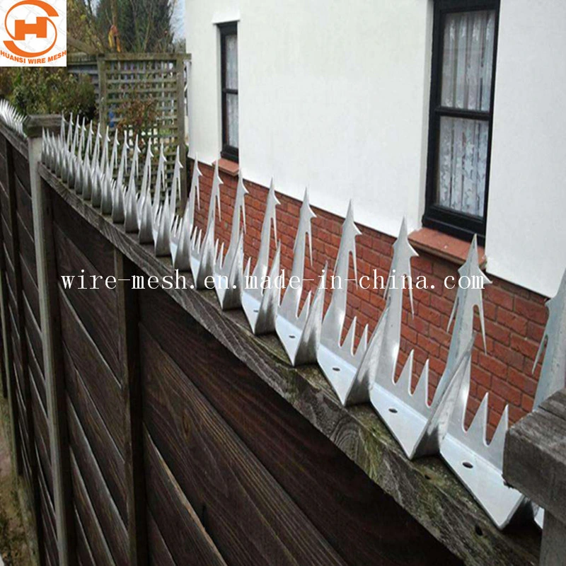 Anti Climb Spike/Security Wall Spike/Razor Barbed Wire /Anti-Climb Wall Spike