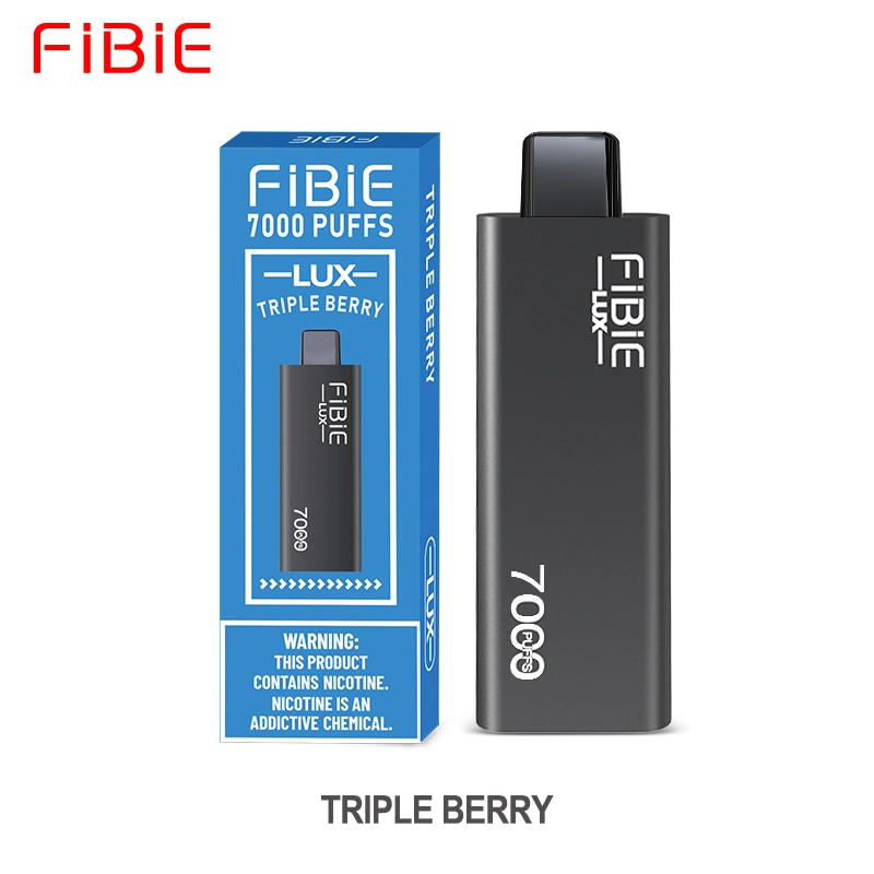 Wholesale/Supplier Curve Slick Fibie Lux E Cig 7000 Puff Vaper Mini Electronic Cigarette Rechargeable Germany Best Price Wape Eshisha Randm Disposable/Chargeable Vapes E Cig