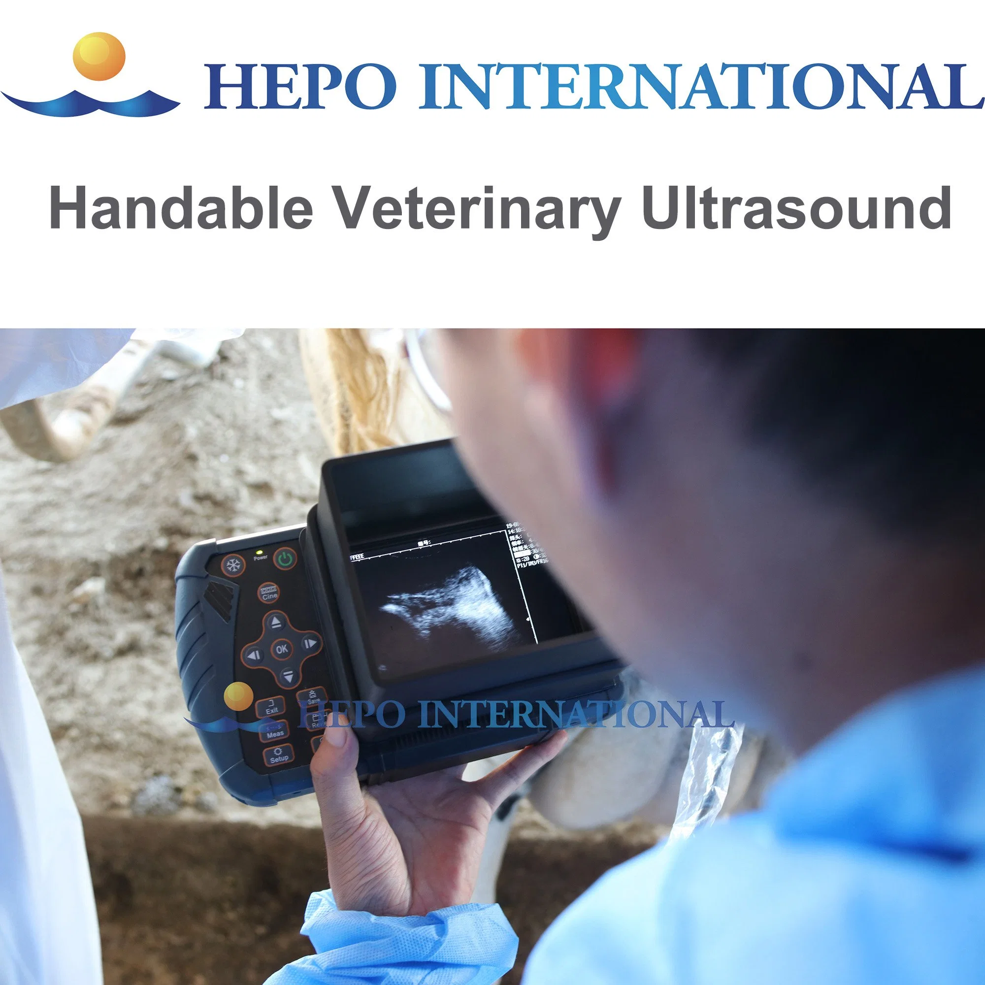 Farm Handheld Veterinay B Ultrasound Diagnosis Scanner