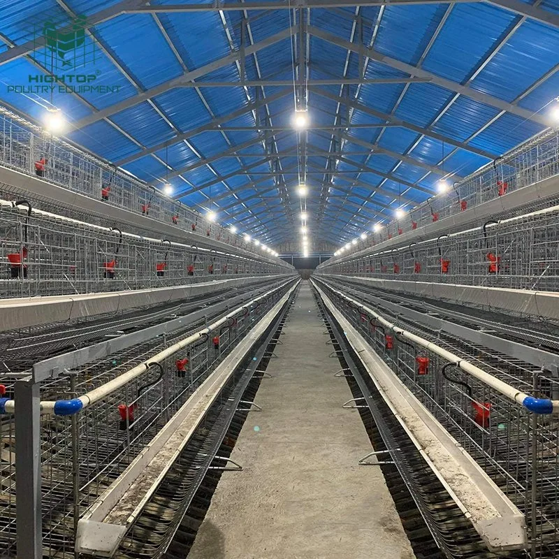 El bastidor de acero galvanizado Turquía El diseño del proyecto de pollo de la capa de jaulas para Kenya granja avícola