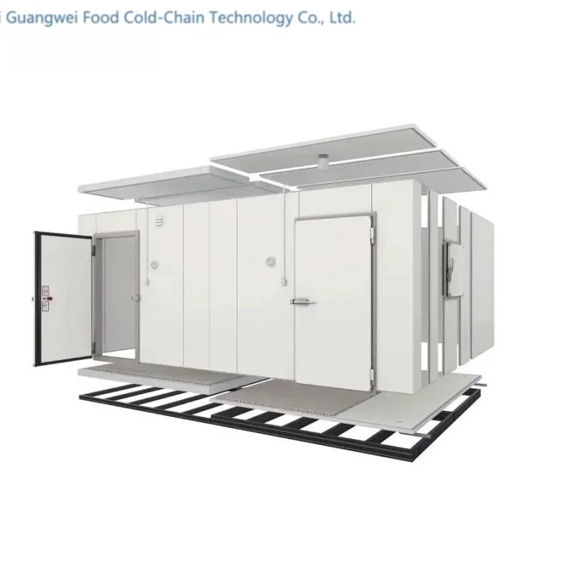 Hot Sale Customized Size 20FT Cold Room Chiller Room Cooler Chiller Chiller Room Cold Storage