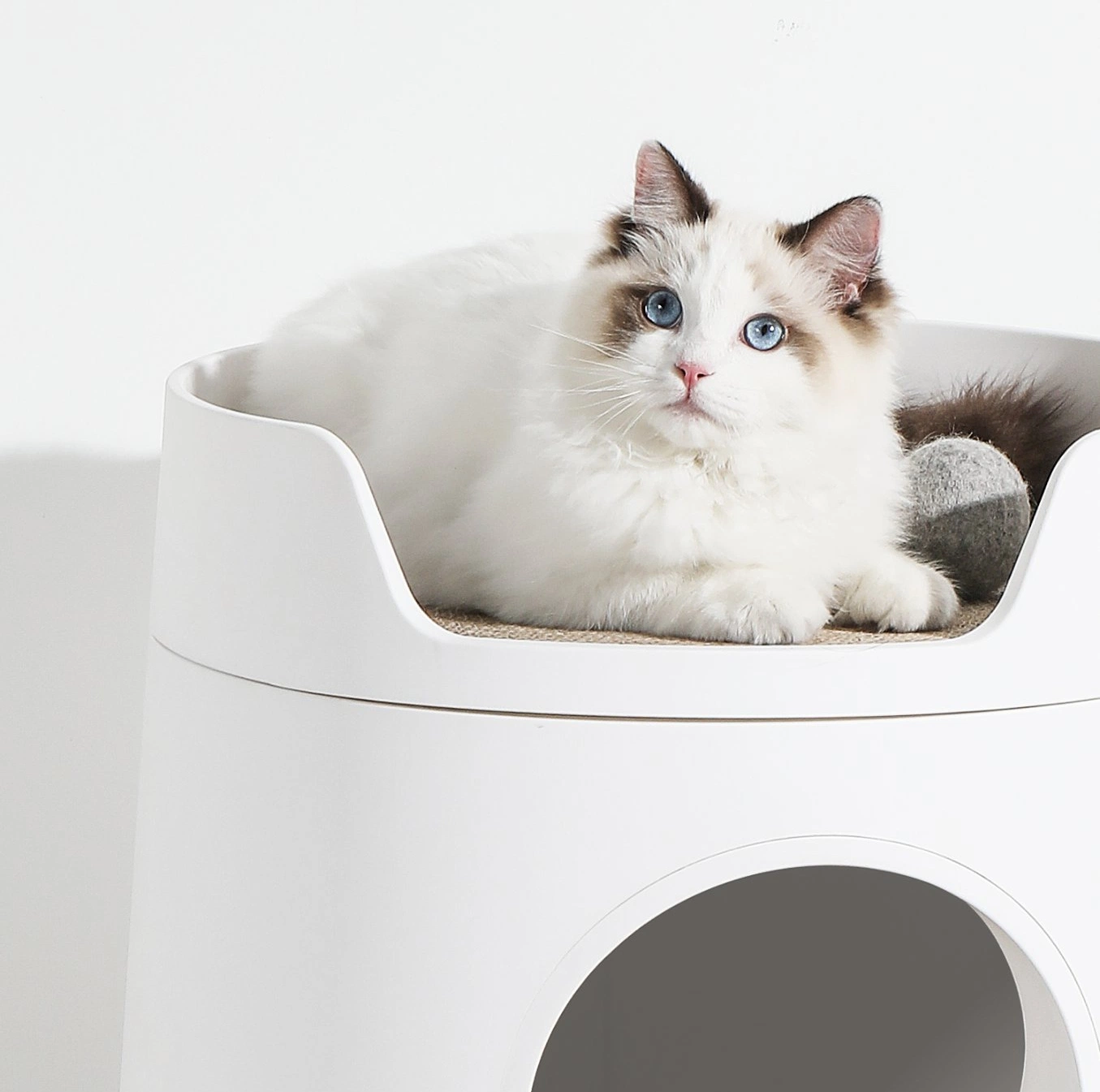 Pet Product 3-in-1 Large Drawer Pet Toilet Plastic Enclosed Cat Litter Box with Scooper