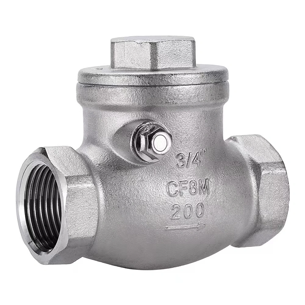 Wenzhou Bstv Manufacturer Stainless Steel Female Non-Return Swing Horizontal Check Valve with High Quality