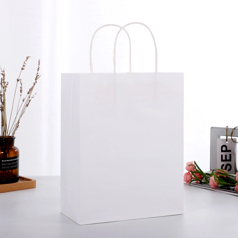 Eco-Friendly Custom Reusable Twist Handle Printed Paper Bag