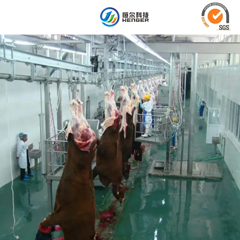 Matadero de ganado vacuno de carne de equipos de sacrificio de la máquina de mecanizado