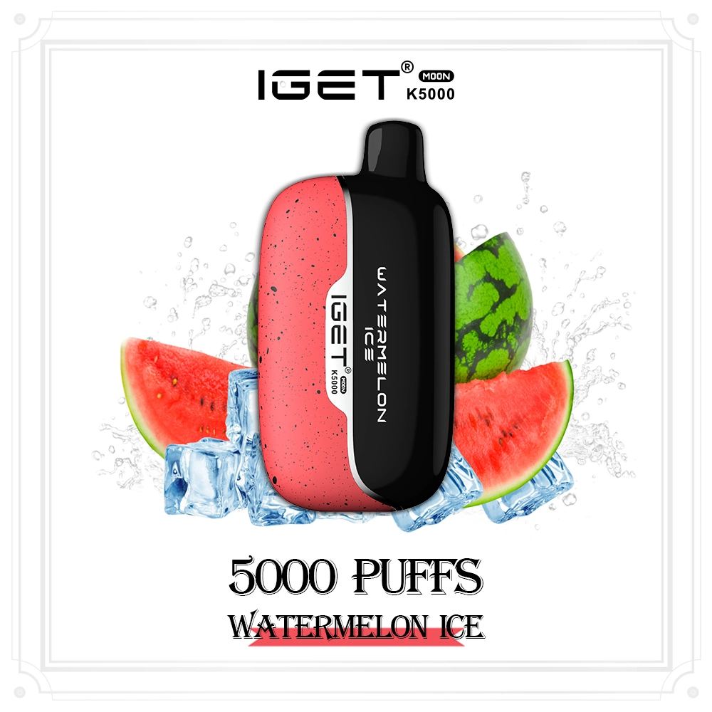 Iget lune jusqu'à 5000bouffées Ecig de vapeur de gros Hot Sale Vape jetables