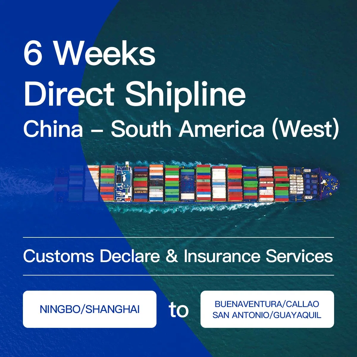 Full Container Load Sea Shipping Service, From China to Mexico