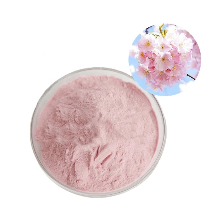 Flower Prunus Serrulata Edible Sakura Pink Powder 80 Mesh