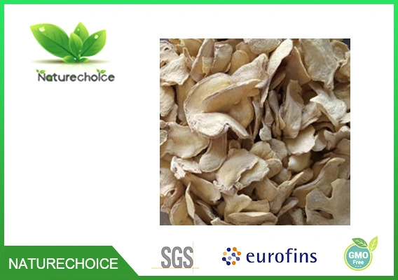 Natural Dried Ginger, Ginger Powder Extract, Spices Chinses Seasonings