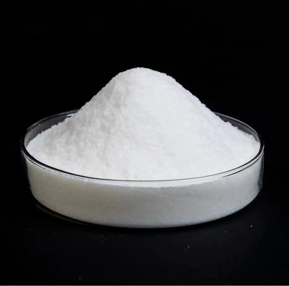 Hot Sale Export Quality Sodium Gluconate 98% as Industrial Cleaning Chemical