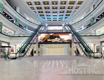 Comfortable Energy-Saving Commercial Escalators with Excellent Quality