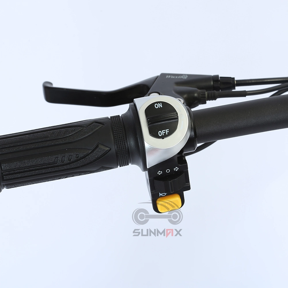 Горячий продаж электрический велосипед Ebike электрический велосипед для Китая на заводе