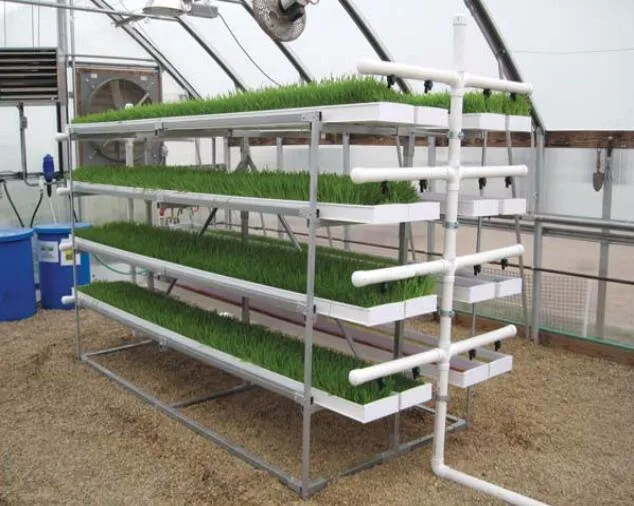 Indoor Water Recycling Vertical Hydroponics Fodder Tray Greenhouse Microgreen Growing System Hydroponics Fodder Tray Grow System