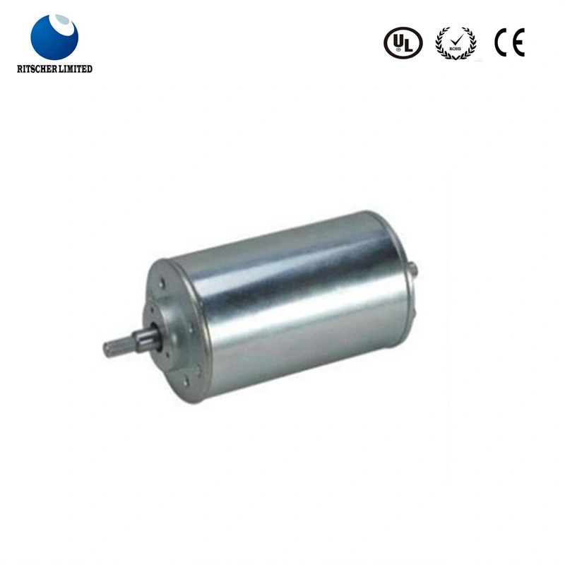 High Quality Micro BLDC Electrical Motors for Oxygen Generator/Water Cleaner