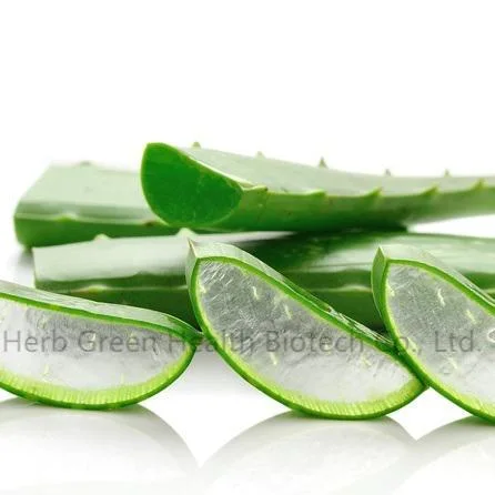 Pure Natural Aloe Barbadensis Miller Natural Extract Curacao Aloe Extract