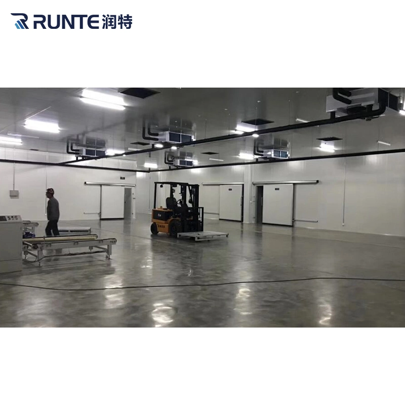 Runte Brand Condensing Units Blast Freezer -30 Degree ~+5 Degree Frozen Meat Fish Vegetables Fruit Cold Storage Room