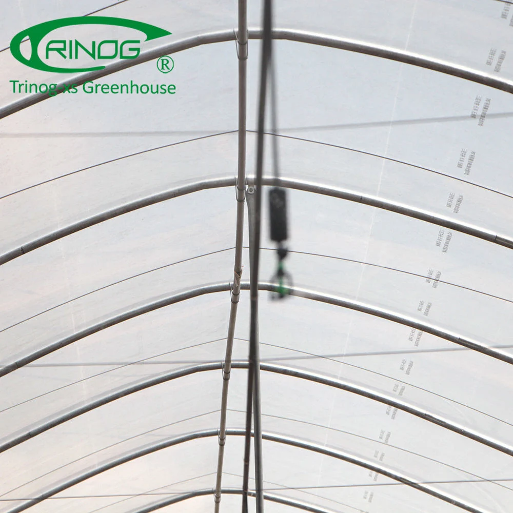 Commercial Large Plastic Single Span Film Green House