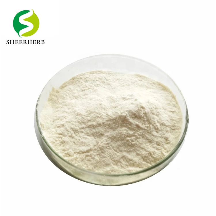 Hot Sale Food Emulsifiers Xanthan Gum Powder Premium Xanthan Gum