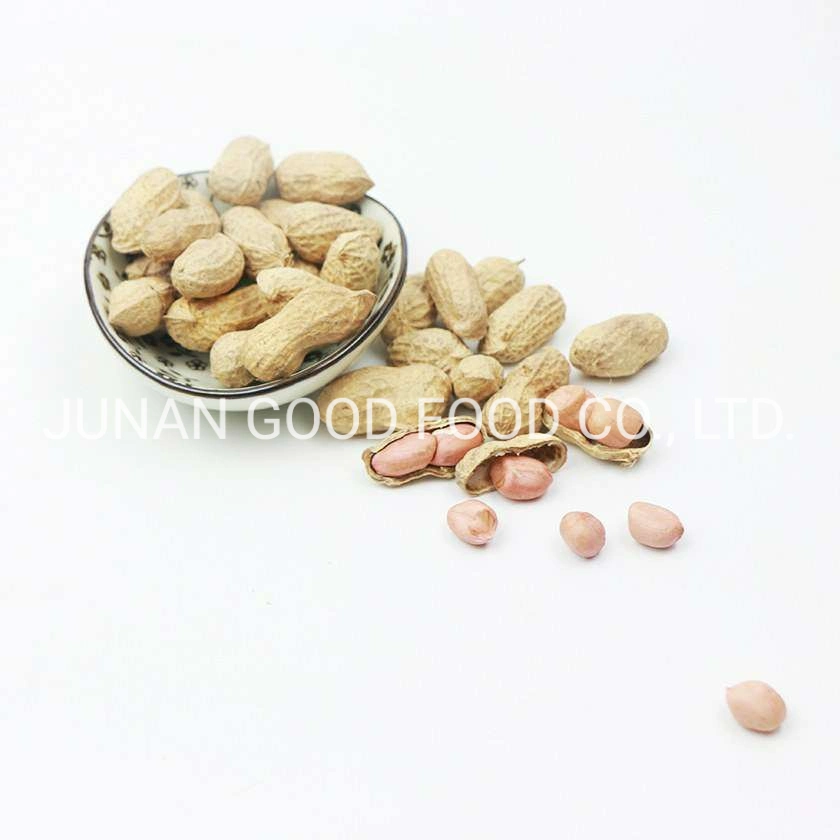 Chinese Products Shelled New Crop Delicious Roasted Peanuts