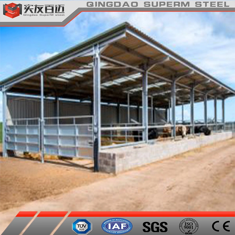 Customized Design Prefabricated Livestock Building Steel Structure Cattle Shed