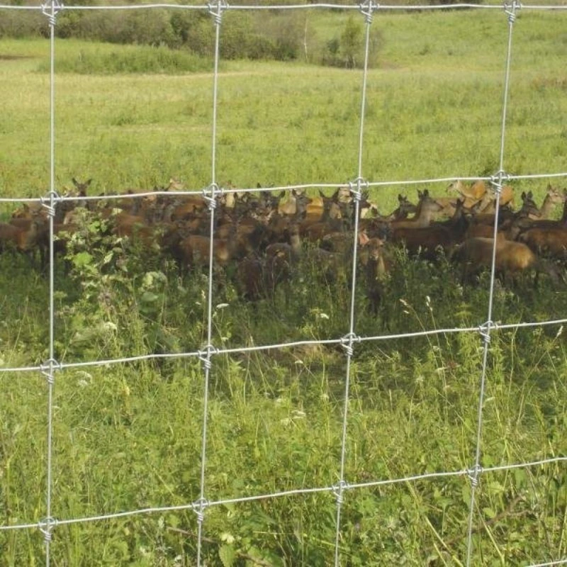 1.8m 50m High Tensile Wire Galvanized Cattle Fence Farm Fencing Field Fence Made in China