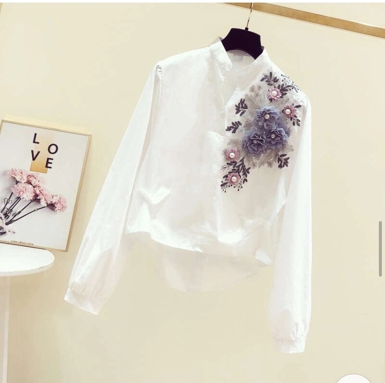 Women's Autumn Clothing Fashion Embroidery Decorative V-Neck Long-Sleeve Shirt