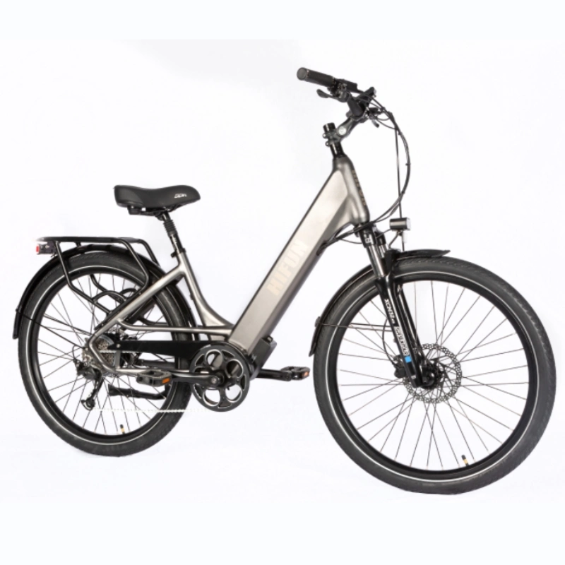 See 15 Comfort CE starkes Elektrofahrrad