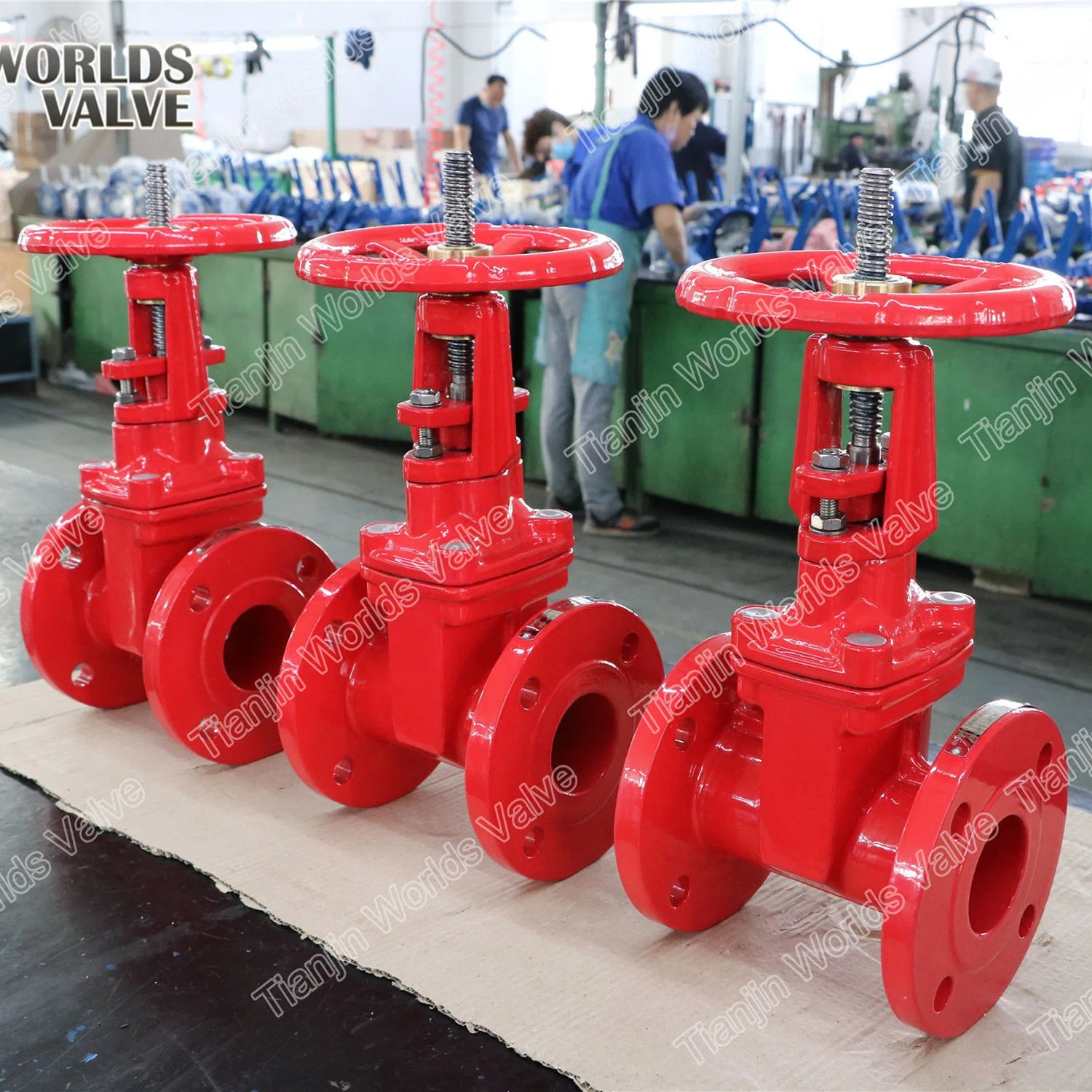 OS&Y Outside Screw and Yoke Rising Stem Resilient Seated Gate Valves