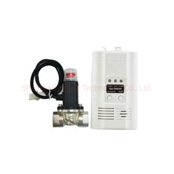 AS-SV01 Gas Leak Detector Electromagnetic Solenoid Valve