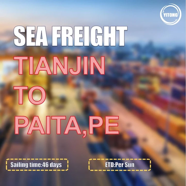 Sea Freight Rates Per Kg From Shenzhen to Paita Peru