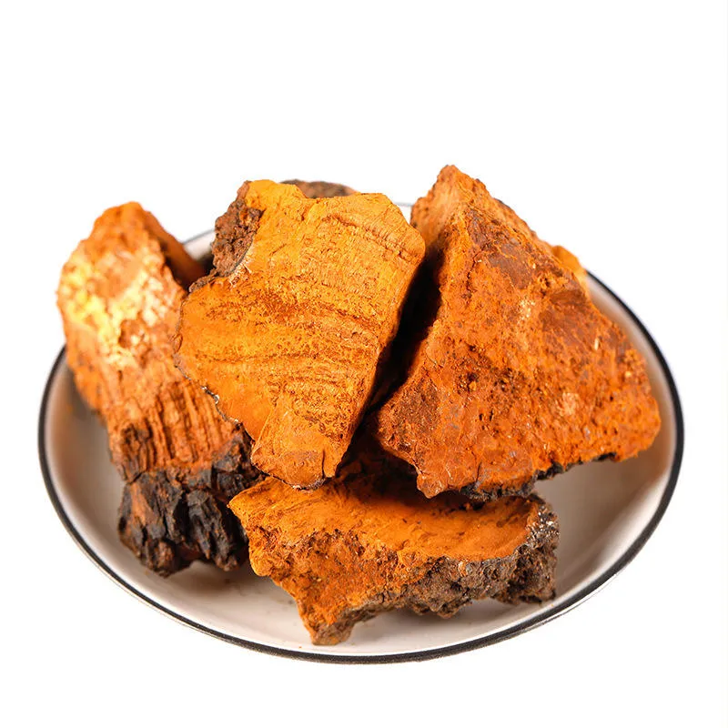 China Supreme Dry Inonotus Obliquus Medicinal Mushroom Dried Chaga Mushroom