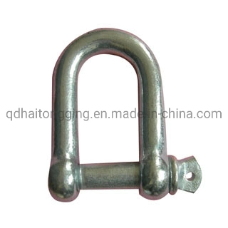 Hot Sale AISI 304/316 European Type Shackle with High Quality