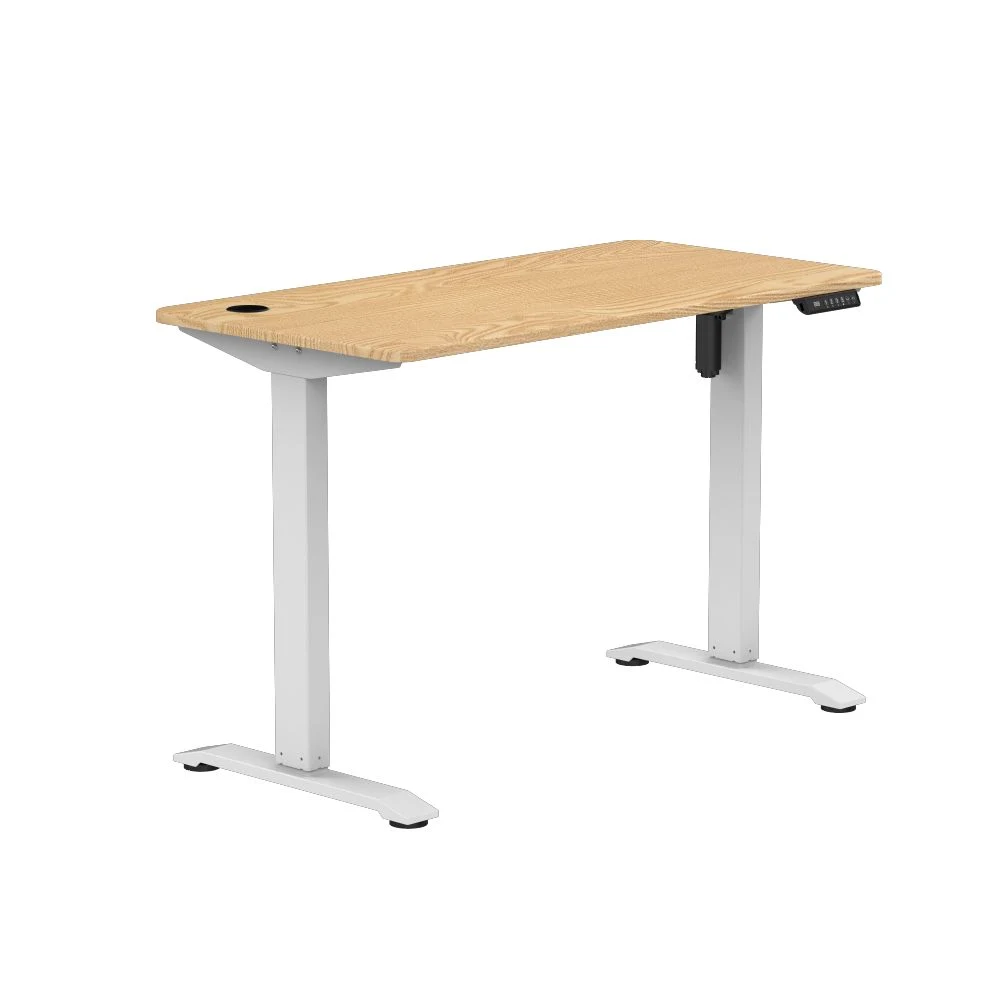 Home Desk Single Motor Electric Height Adjustable Desk Adjustable Computer Standup Tables