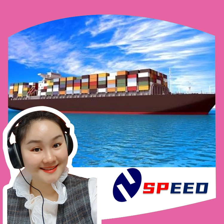 China Shipping Agent Professional Sea Freight to Canada DDP