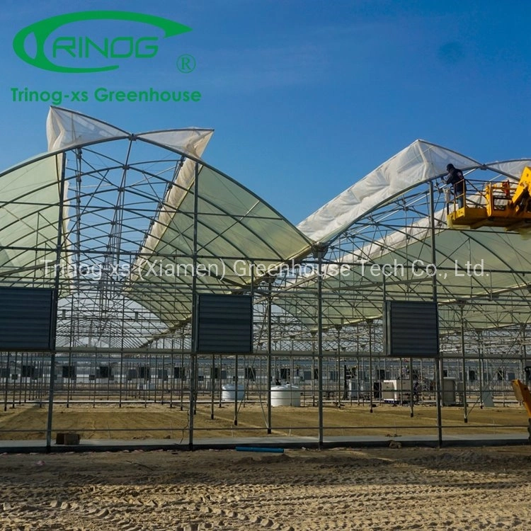 Trinog Greenhouse Multi-Span Arch Type PE/Po Plastic/Film Agricultural Greenhouse with Hydroponics System for Tomato/ Cucumber/ Lettuce/ Pepper Planting