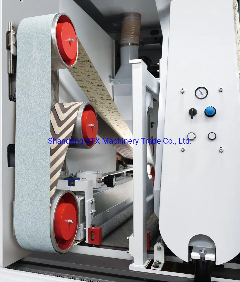 High Precision Wood Sanding Machine Segmented Pad Sander