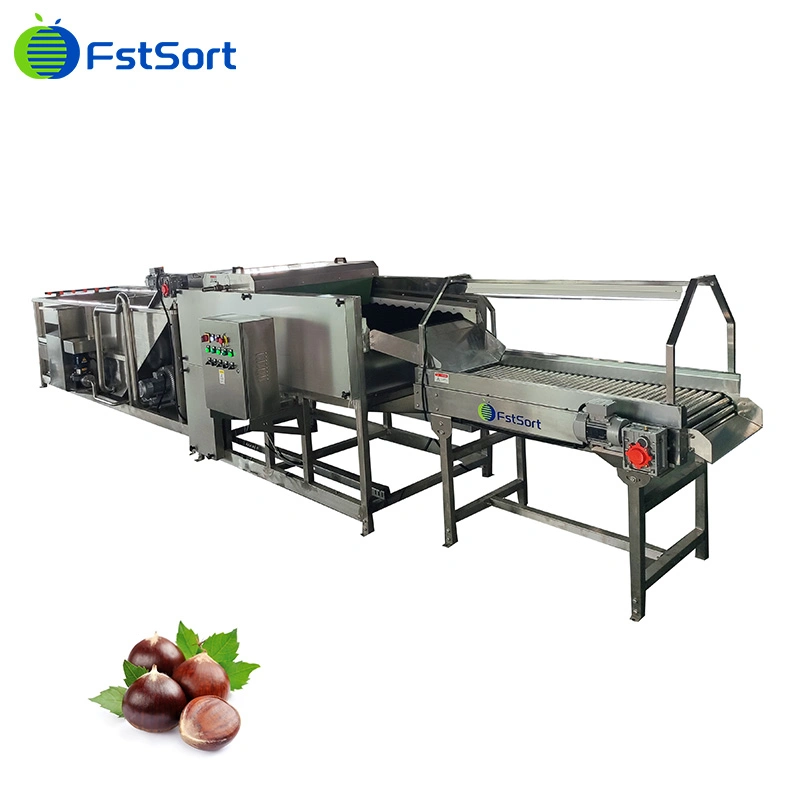 Chestnut High Pressure Cleaning Chestnut Polishing Machine Chestnut Picking Table Chestnut Washing Equipment
