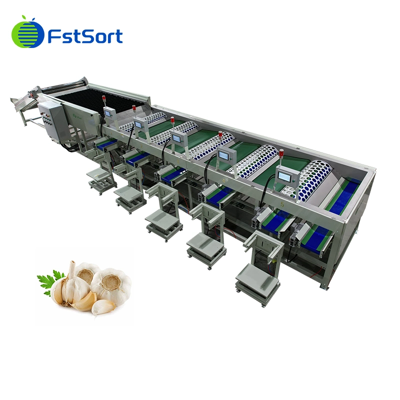 Hohe Effizienz Automatische Knoblauchbrechung Peeling Sortiermaschine Knoblauch Reiniger Maschine Knoblauch Waschmaschine zum Verkauf