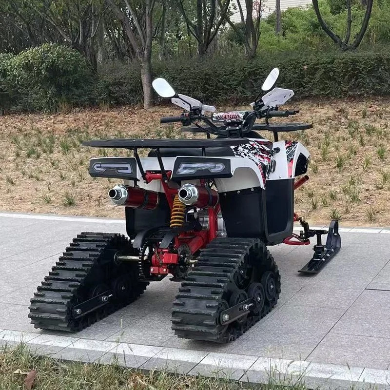 Nouveau 125cc de la plage de la neige en hiver et été ATV