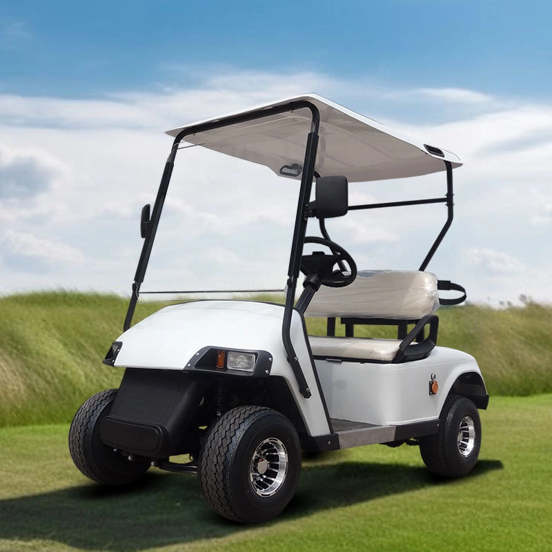 Nouveau Mini Lsv personnalisé à deux places, performant, abordable, avec siège souple, voiturette de golf électrique légère avec batterie au lithium, buggy de golf, scooter de mobilité à vendre