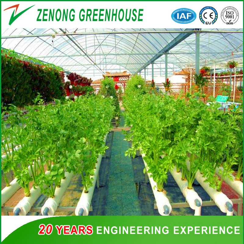 Tunnel Type High quality/High cost performance  Po/PE/EVA Film Green House for Garden/Flower/Vegetable/Fruit Planting