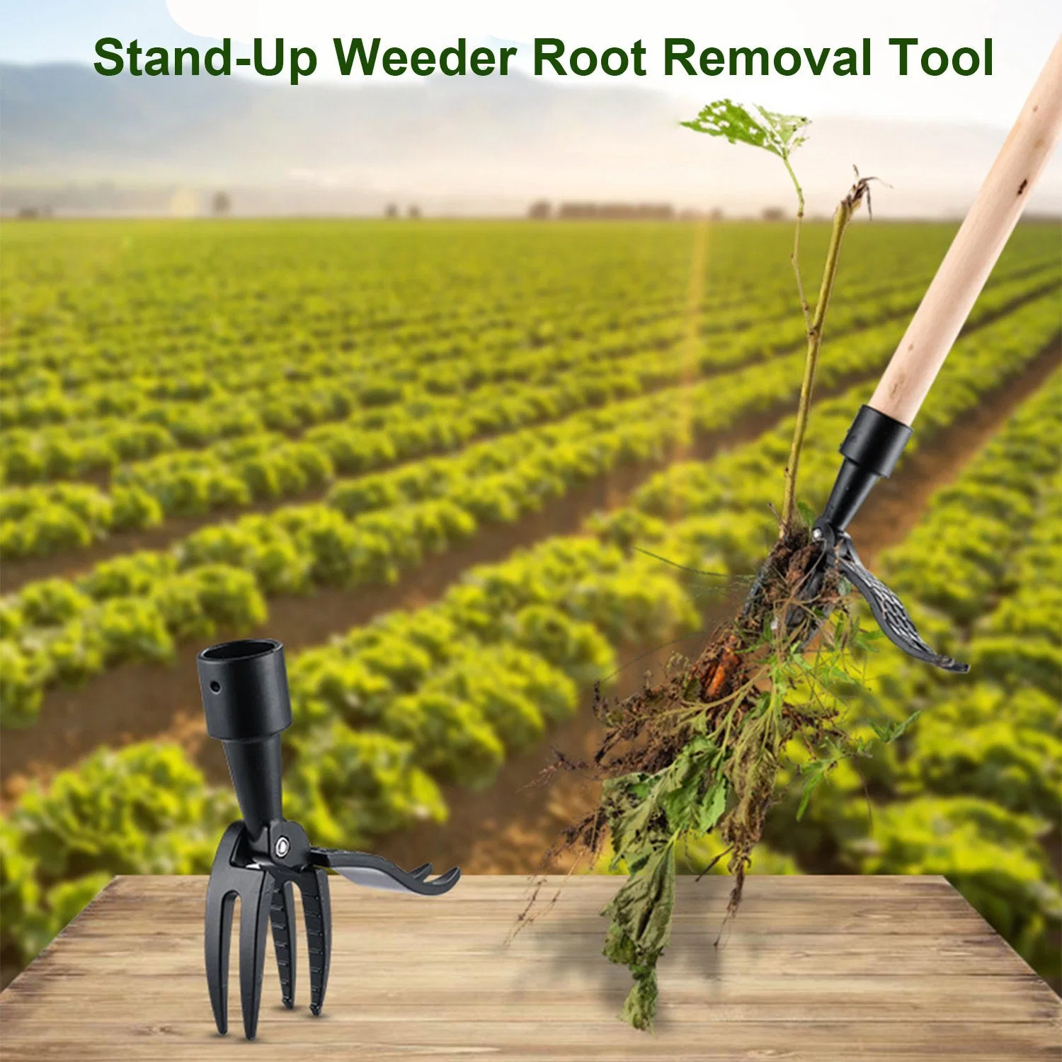 Easily Removes Weeds Without Bending Aluminum & Anti-Rust L 4-Claw Steel Head Design Weed Puller Removal Tool Bl15832