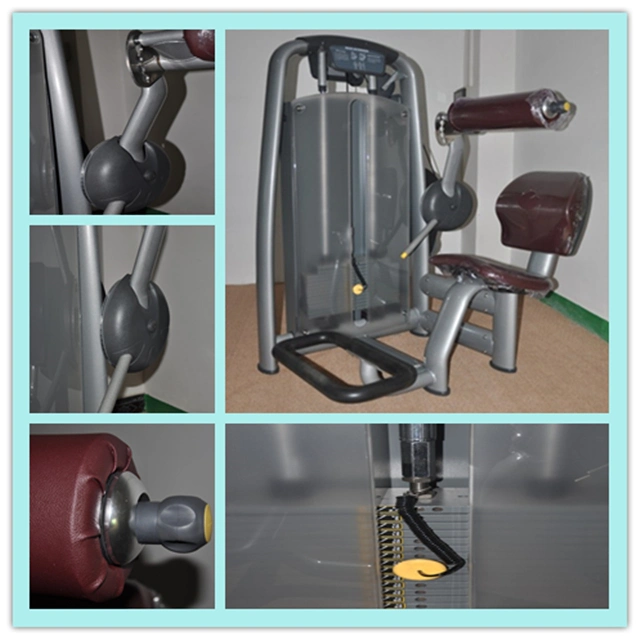 Tz-6006 Comercial Club de gimnasio/Equipos de fitness máquinas de gimnasio/Back Extension