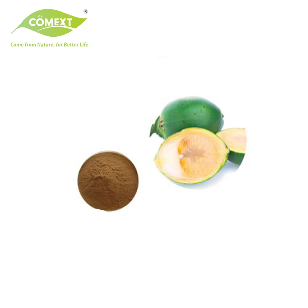 Comext Plant Extract Powder Manufacturer Manufacturer Areca Catechu Extract