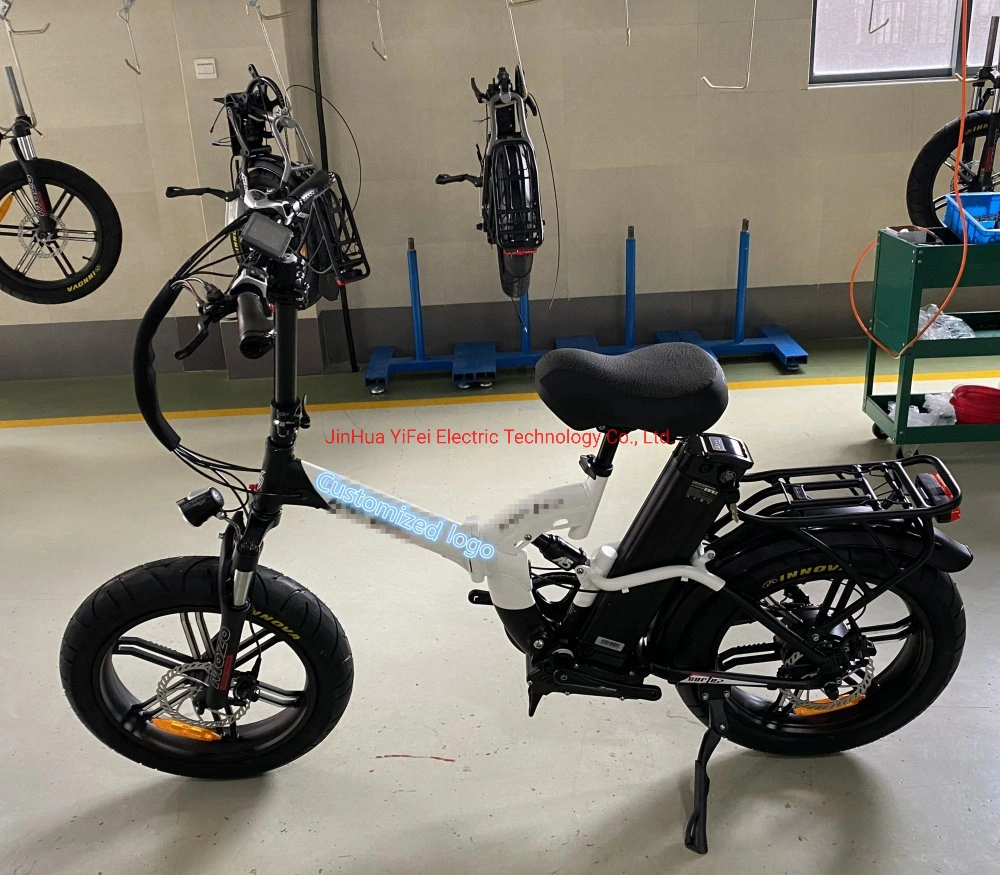 Foldable Electric Cargo Bicycle with Ce (TDN05F)