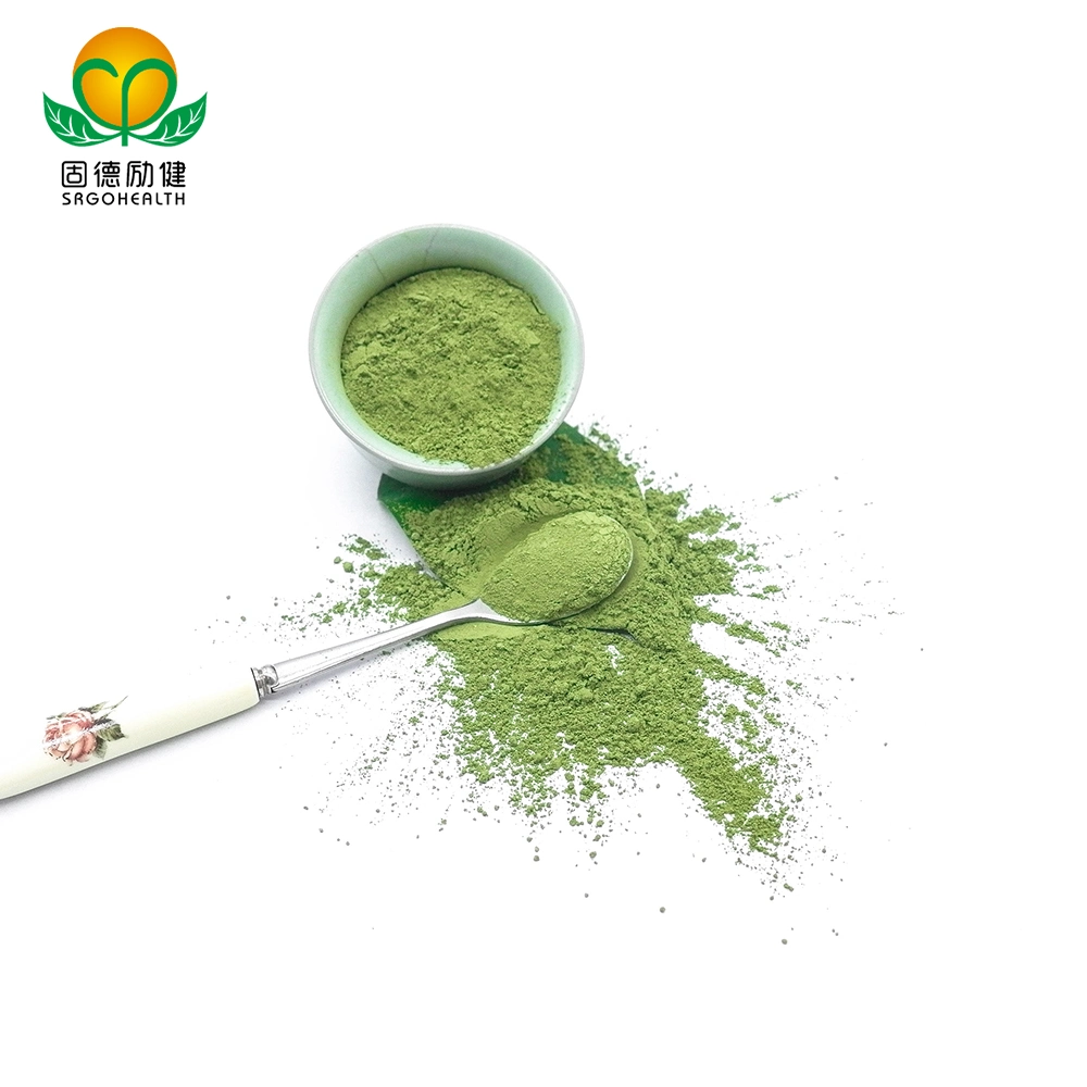 Сертификат GMP зеленого чая не органических Matcha порошок