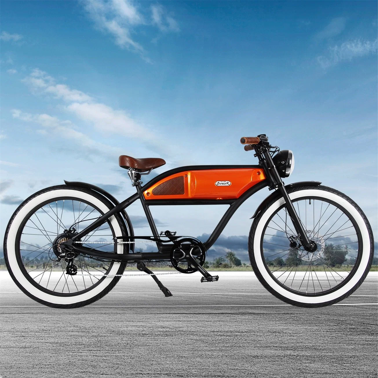 En15194 Electric Bicycle 350W 26" Electric Bike with CE Certificate