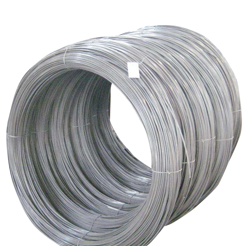 Factory Direct Sale 201 304 321 Microns Stainless Steel Fine Wire for Textile